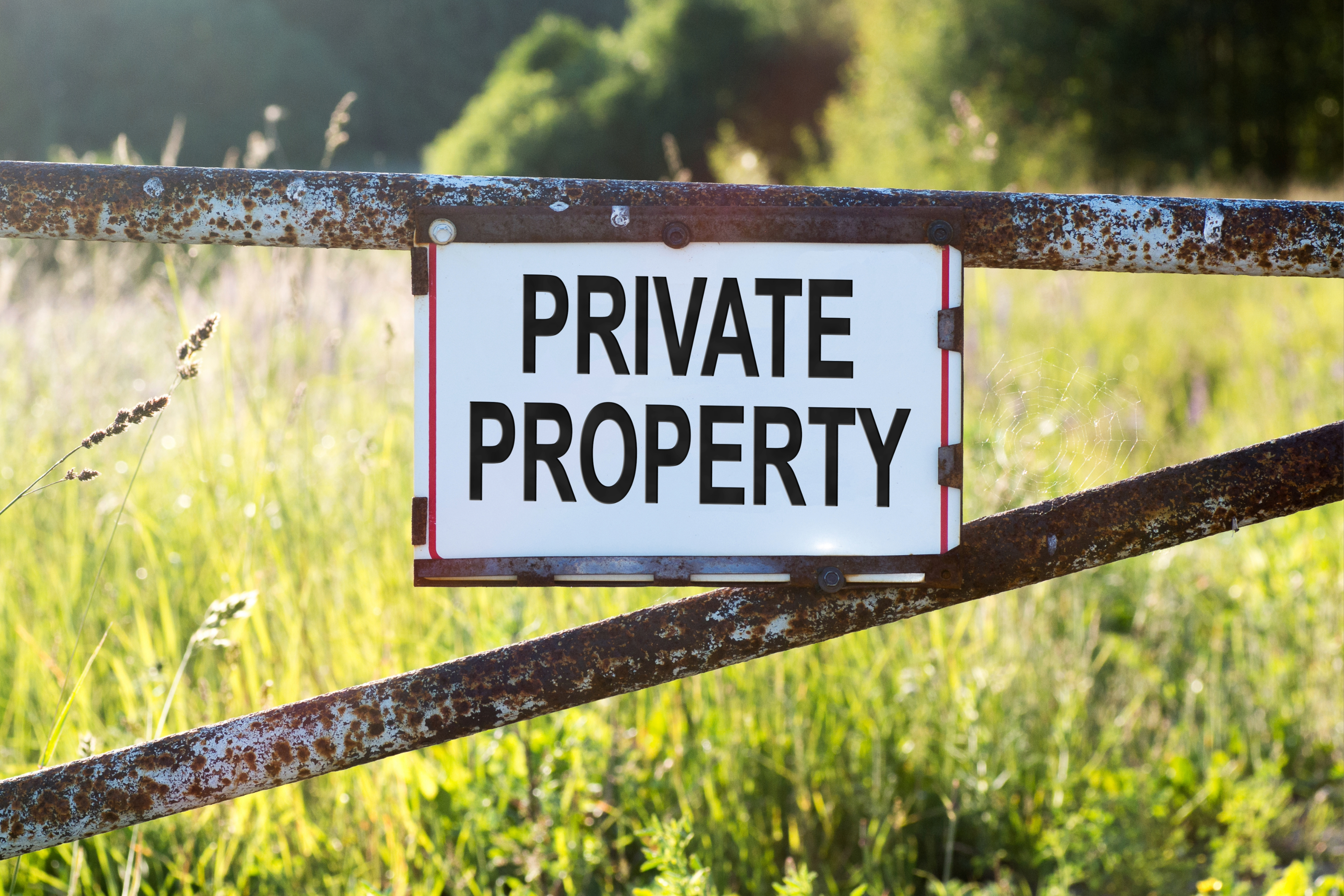Is Private Property Simply a Racial or Social Construct? | Mises