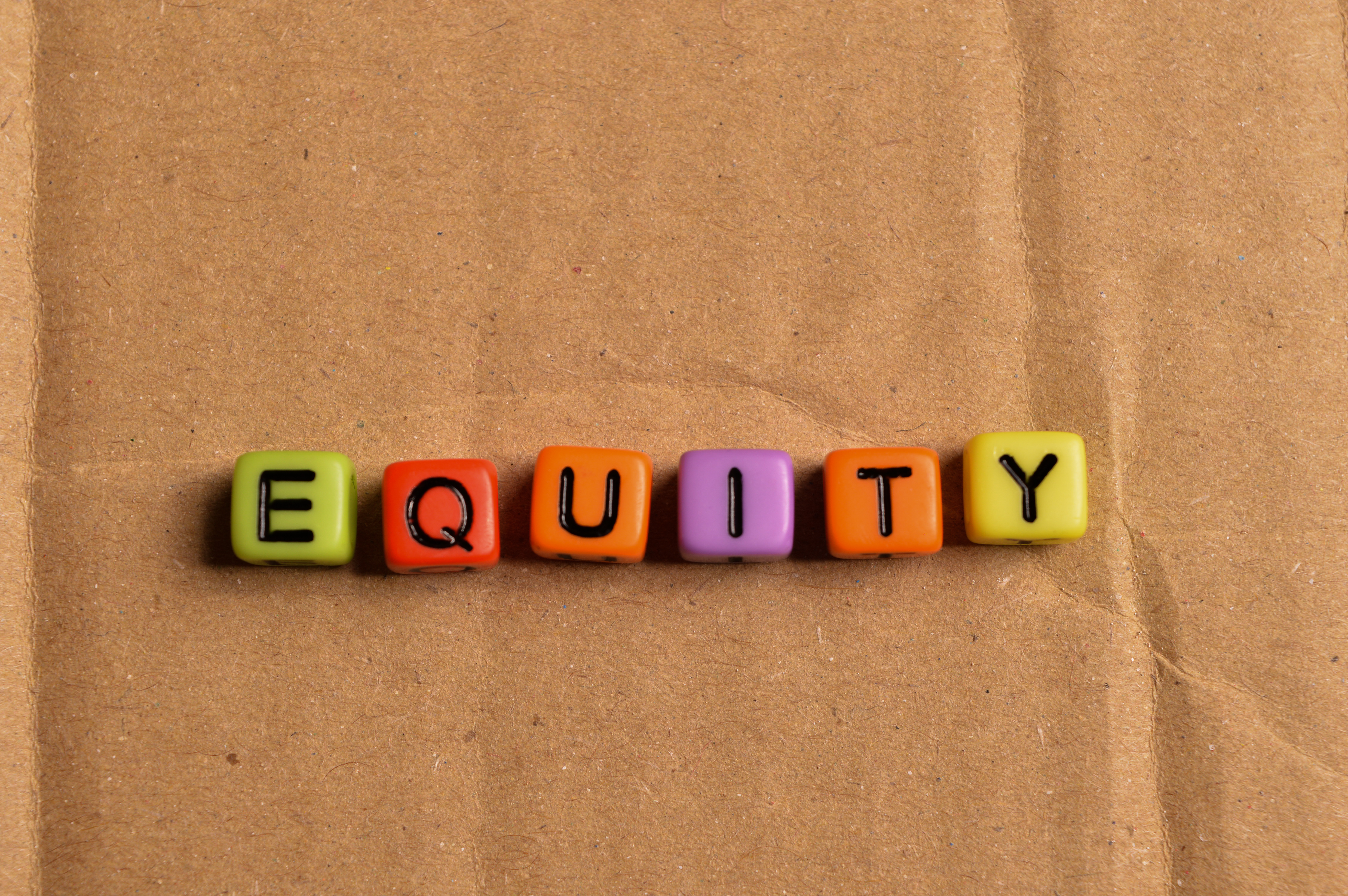 Equity, Racial Equality, and Wealth Redistribution