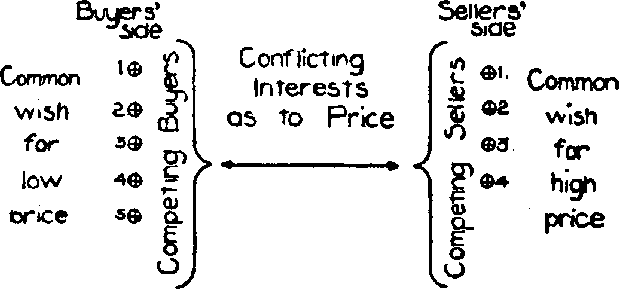 Fig. 12