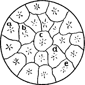 Fig. 51