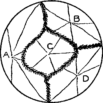 Fig. 51