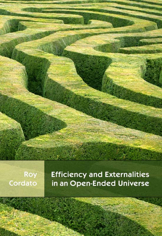 Efficiency and Externalities in an Open-Ended Universe: A Modern Austrian Perspective
