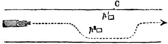 Appendix D: Conscience In Animals — image 2