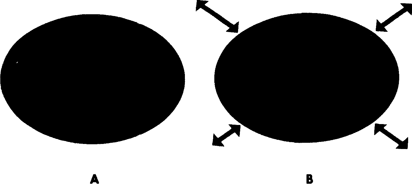 3. Let’s Be Philosophers — image 1