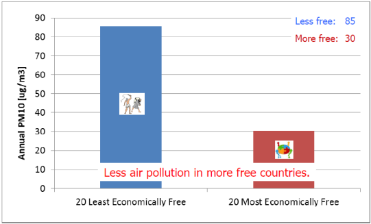 Environmental Pollution Environmental Pollution