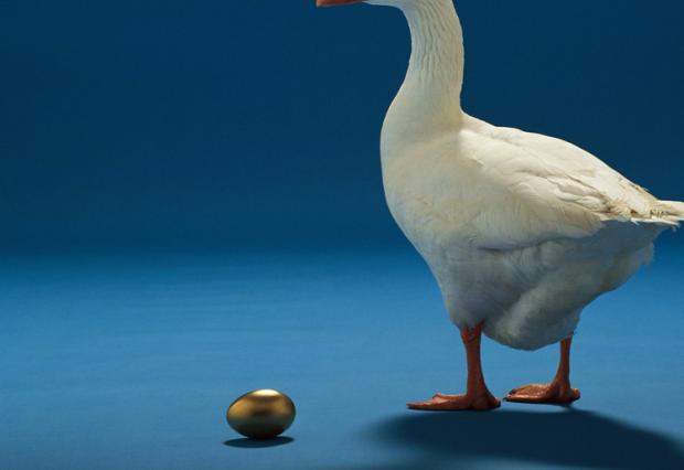 goose with golden egg