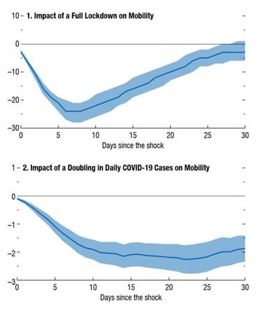 lockdowns, covid cases, and mobility