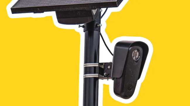 A Flock camera