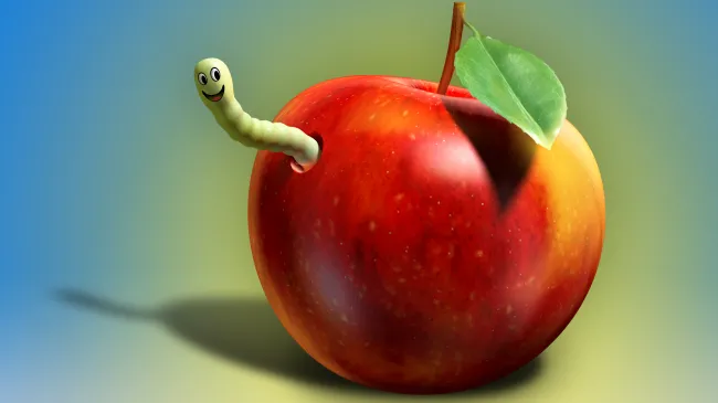 education public private for profit free market