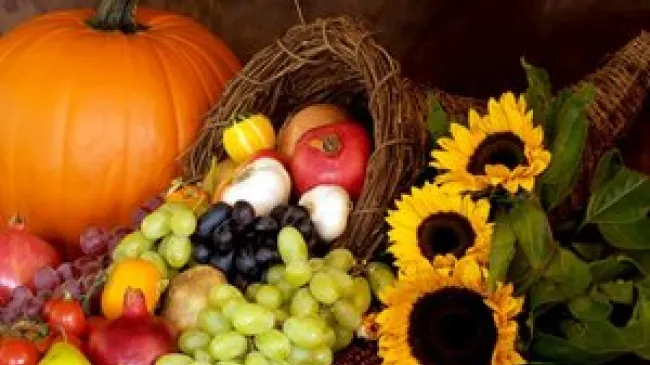 Thanksgiving Is a Celebration of Free Enterprise