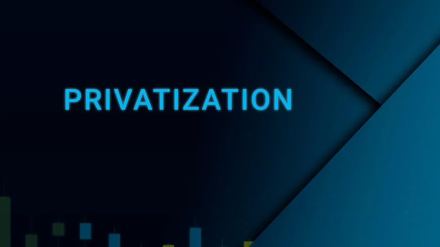 Privatization