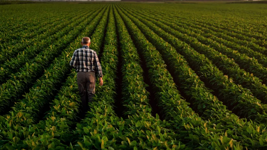 Soybean farmers Soybean farmers