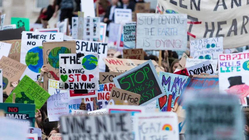 Signs at a climate protest