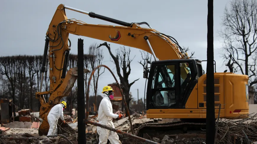 Palisades fire destruction