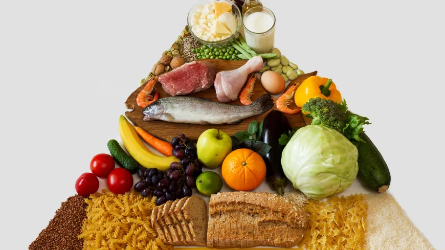 Food pyramid