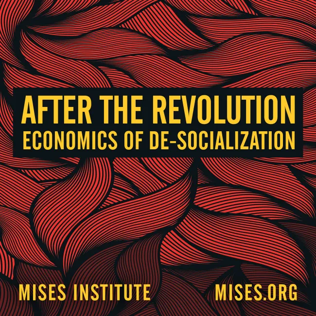 After the Revolution — Economics of De-Socialization