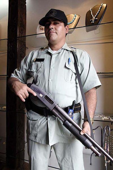 private security private security