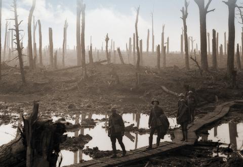 Century of War Century of War