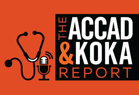 The Accad & Koka Report The Accad & Koka Report