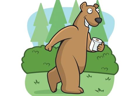 bear toilet paper