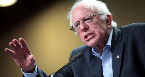 bernie