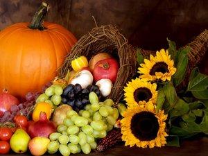 Thanksgiving Is a Celebration of Free Enterprise Thanksgiving Is a Celebration of Free Enterprise