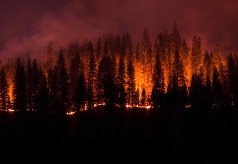 wildfire crisis