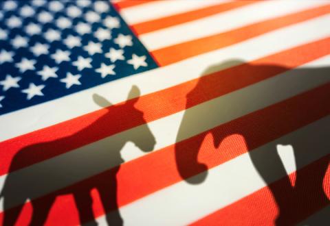 elephant and donkey on american flag