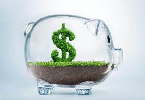 piggy bank private money