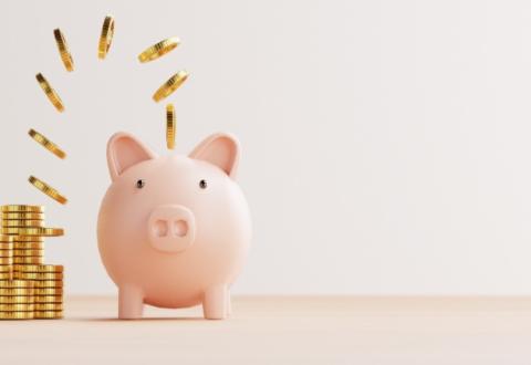 piggy bank