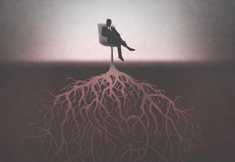 roots