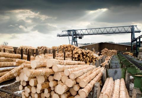 sawmill