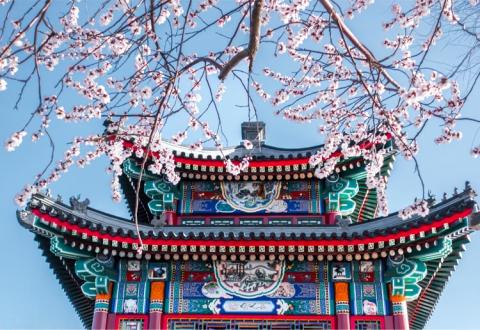 summer palace