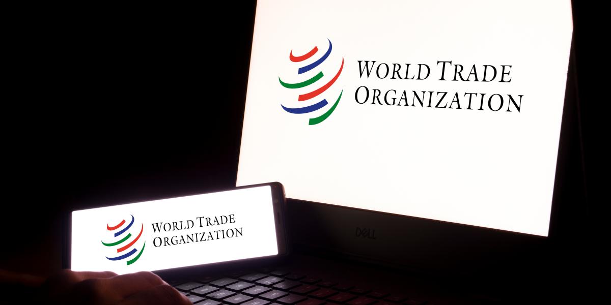 We Cannot Repair Worldwide Organizations just like the WTO. Abolish Them.
