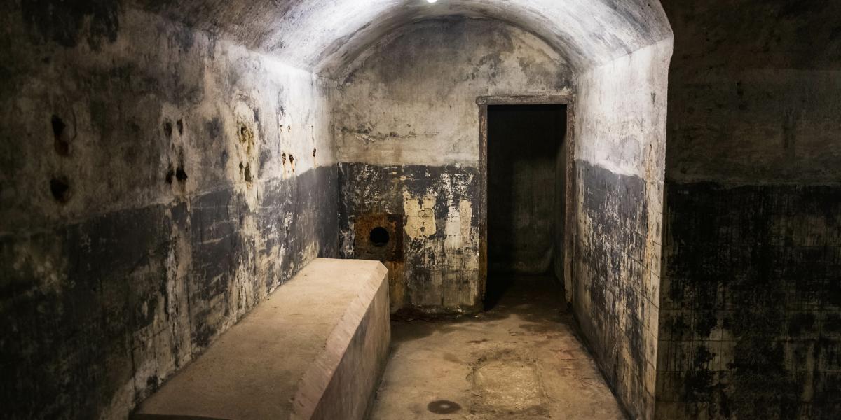 We Never Got to Torture Congress We Never Got to Torture Congress