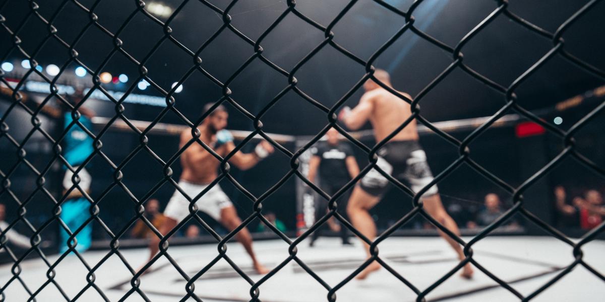 Rights, Fights, and the Economy of Self-Defense: Why MMA Facilitates the Right to Self-Defense Rights, Fights, and the Economy of Self-Defense: Why MMA Facilitates the Right to Self-Defense