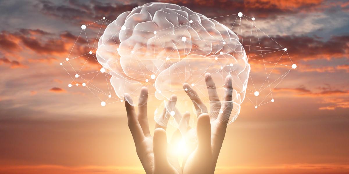 NextImg:Human Reason as the Foundation of Civilization 