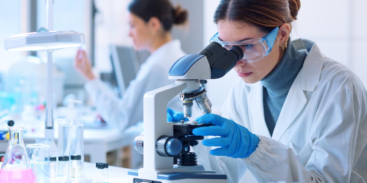 NextImg:Can Econometric Models Fulfill the Role of an Economic Laboratory? 