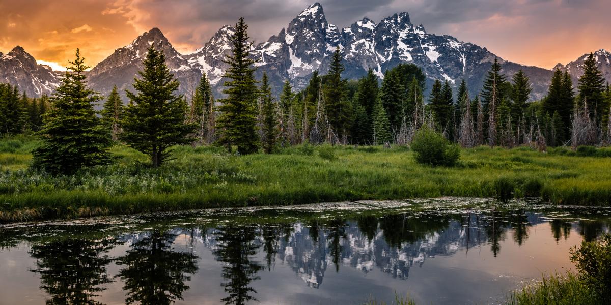 NextImg:Bureaucrats in Ranger Hats: Why Government Park Management Fails 