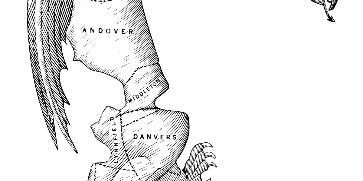 NextImg:Gerrymandering and Representative Democracy