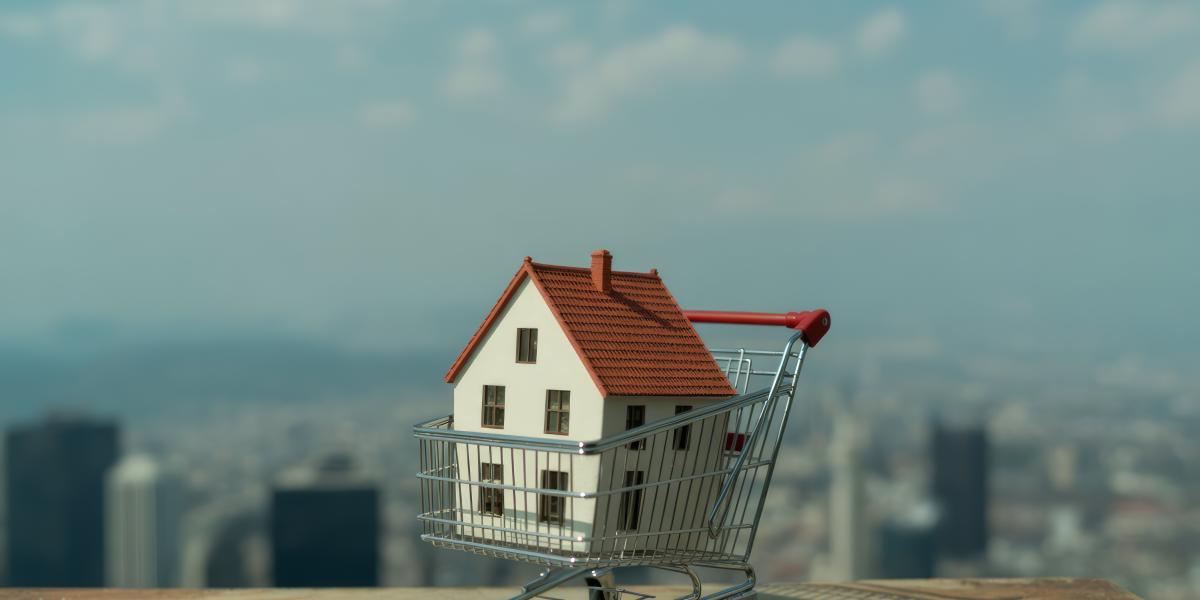 NextImg:The Great Delisting: Home Sellers Scoff at Peasant Prices