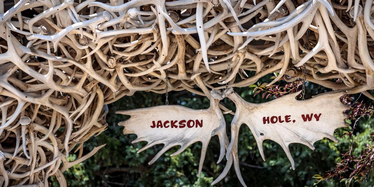 NextImg:Stuck in Jackson Hole 