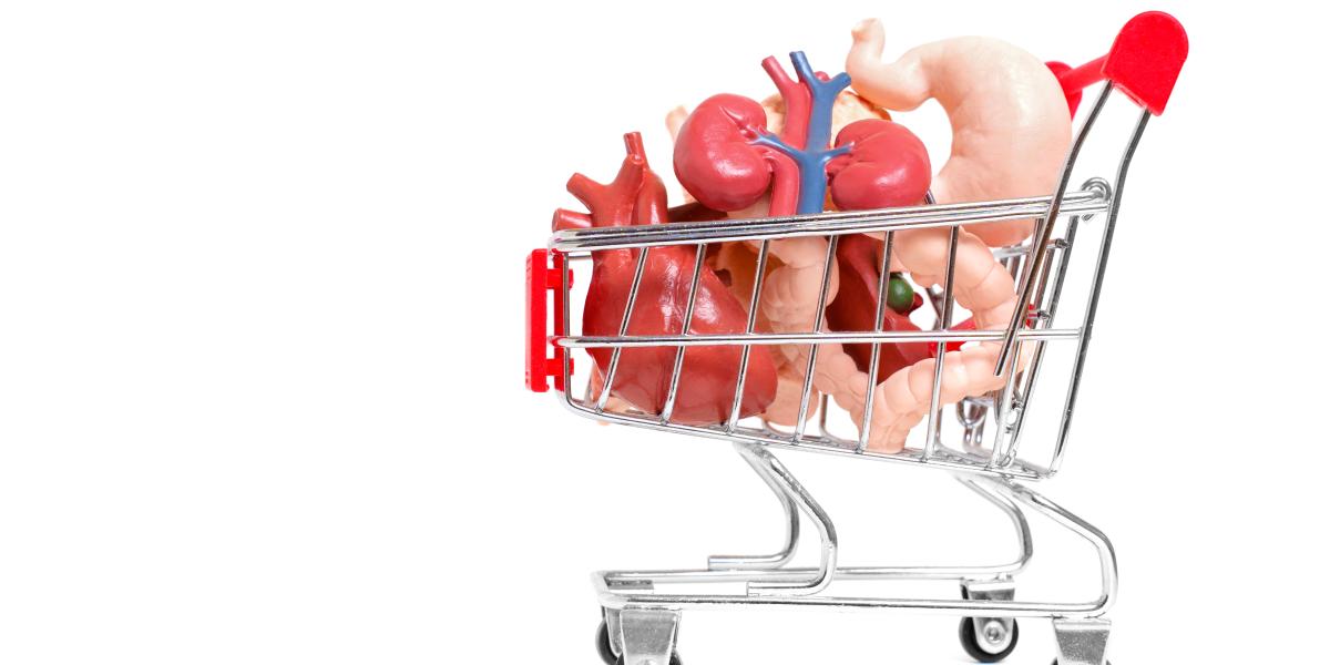 NextImg:America Should Follow Iran’s Lead and Legalize Organ Sales