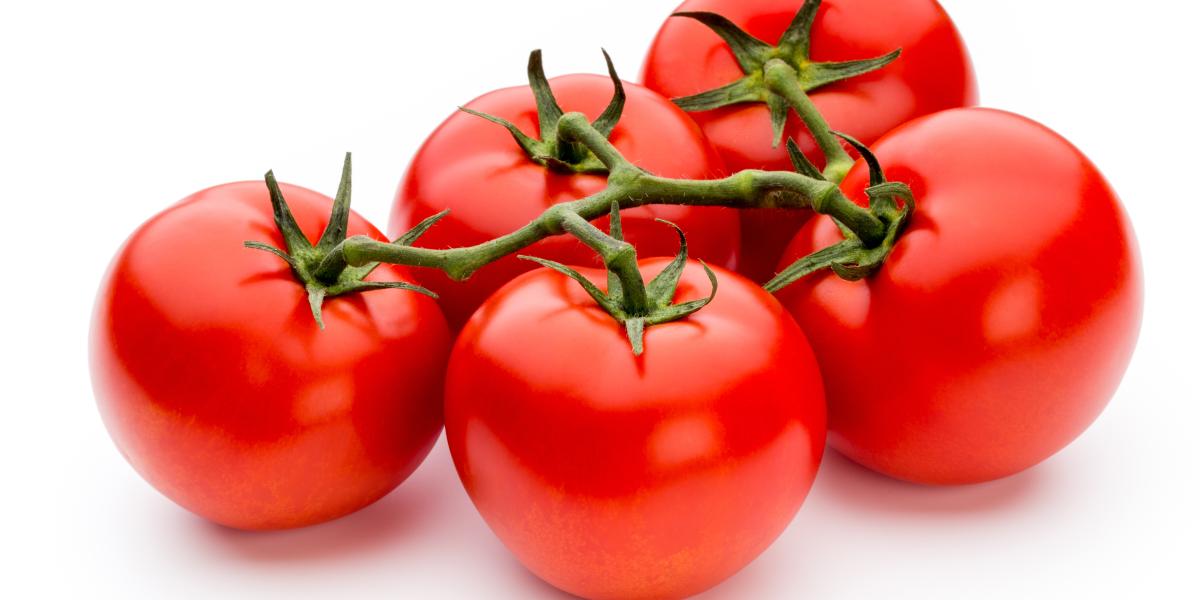 Of Tomatoes and Tariffs | Mises Institute Of Tomatoes and Tariffs | Mises Institute