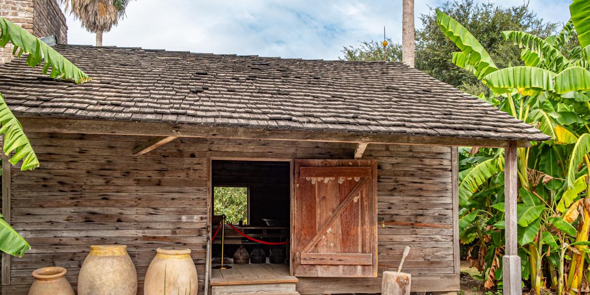 Plantation Ledgers and the Illusion of Capitalist Rationality Plantation Ledgers and the Illusion of Capitalist Rationality