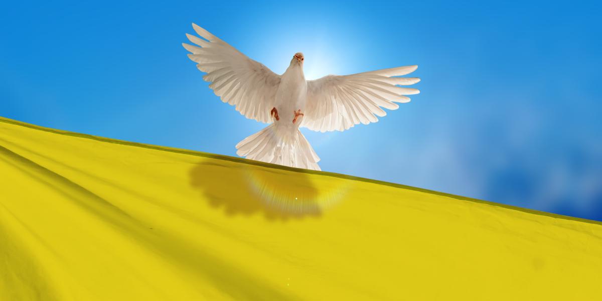 A Real Ukraine Peace Plan A Real Ukraine Peace Plan