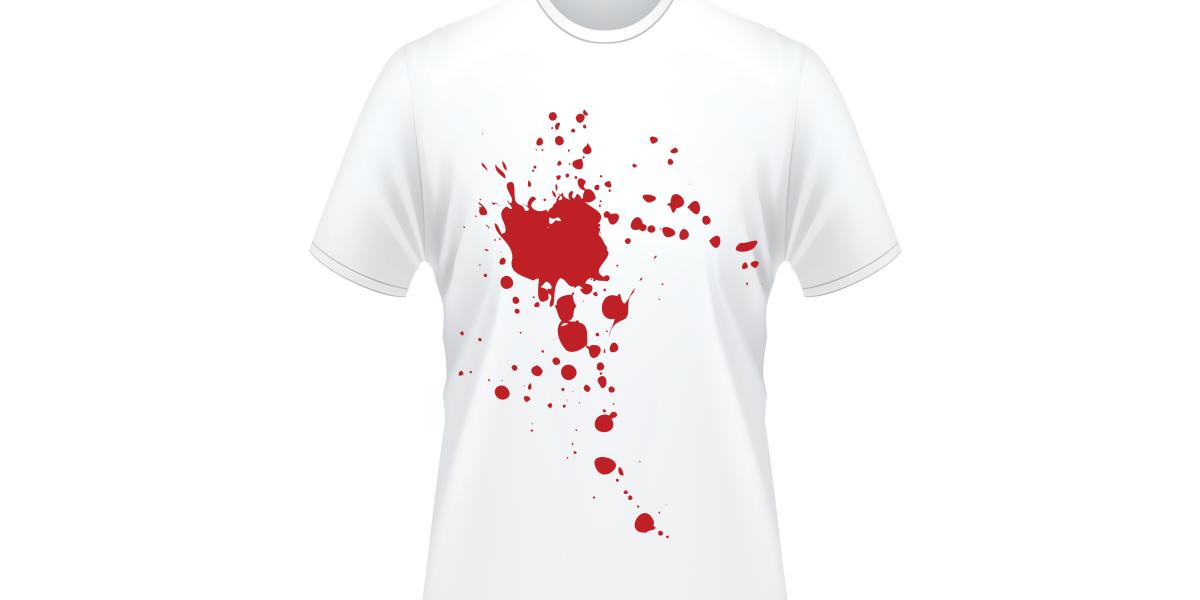 Party Over Principle: A Lesson from the Bloody Shirt Era Party Over Principle: A Lesson from the Bloody Shirt Era