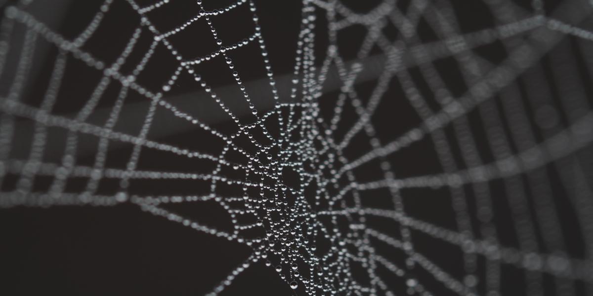 Protecting a Societal Cancer with a Web of Lies