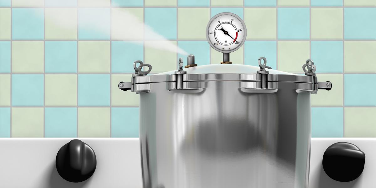 The Pressure Cooker of State Dominion The Pressure Cooker of State Dominion