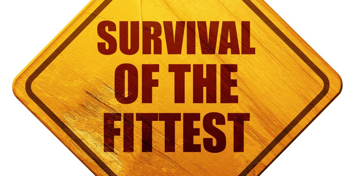 Survival of the Least Fit Survival of the Least Fit